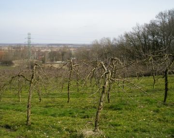 Działka pod zabudowę jednorodzinną