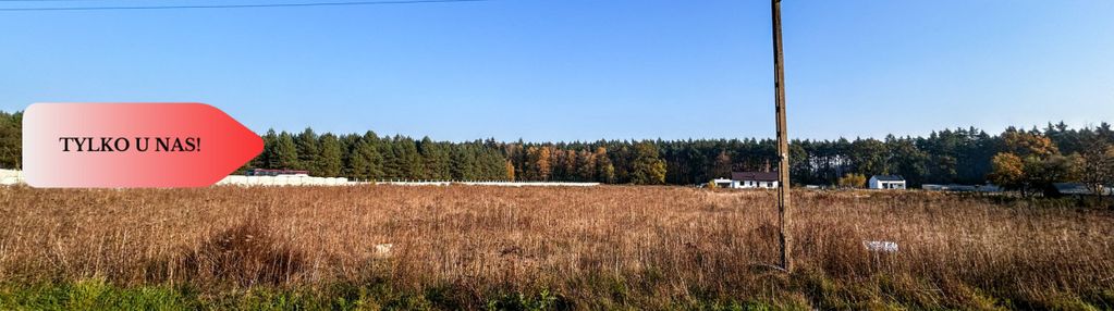 Tylko u nas! działki 1006-1169m² wz przy lesie