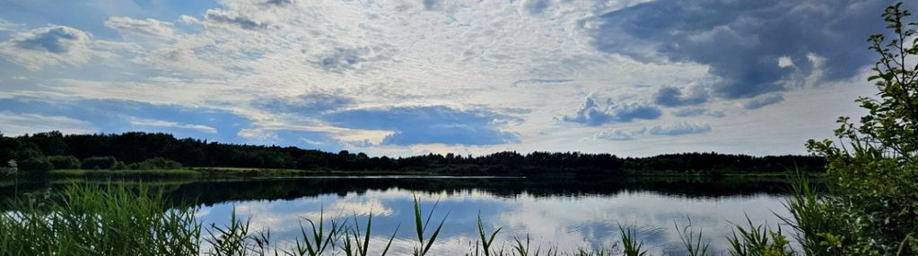 Działka z linią brzegową. wojnicz. małopolska.
