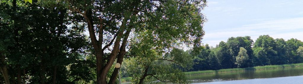 Działki w lesie blisko jeziora i plaży