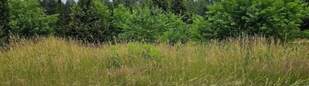 Działka budowlana 4827 m², dogodna lokalizacja