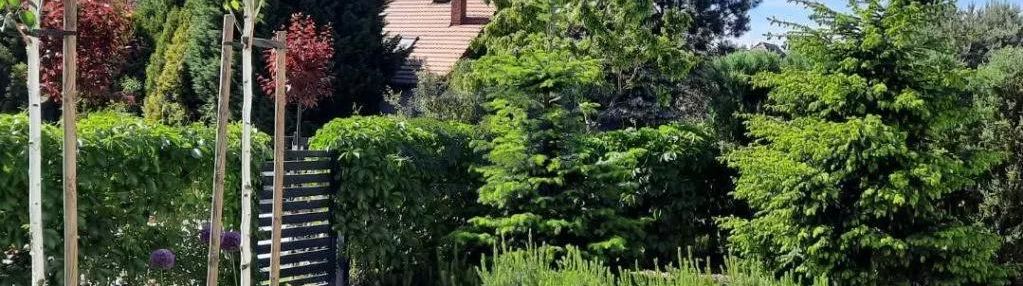 Nowoczesny dom z piękną zielenią za oknem