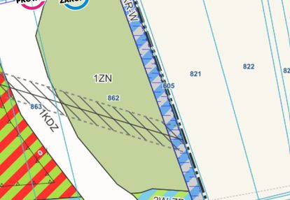 Działka rekreacyjna/ekologiczna 1 ha reda