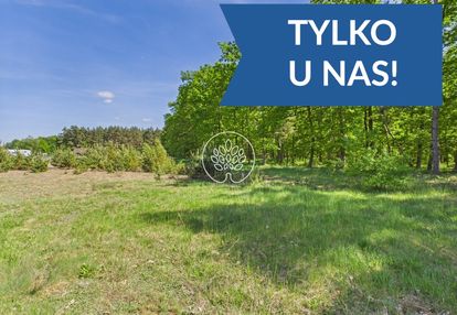 1585m2 | ściana lasu | mpzp