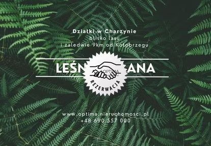 Działka z widokiem na las, obok vilpark