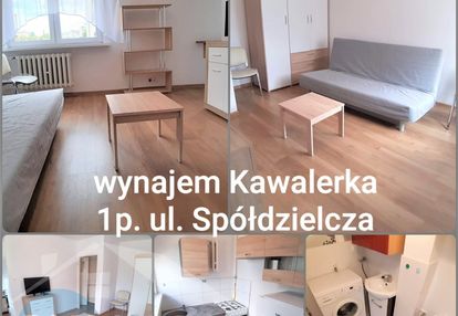 Głogów do wynajęcia kawalerka