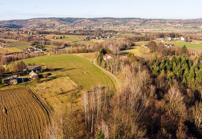 Działka leśna 30,25 ar tuchów