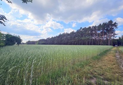 Działka z potencjałem podziału!