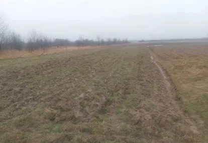 Działka na sprzedaż 5000m2