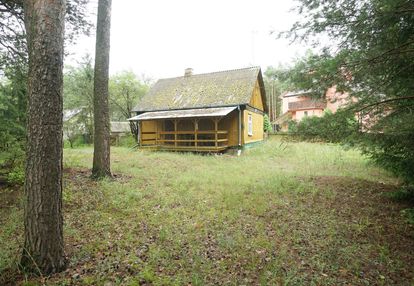 Zielona enklawa w otulinie lasów