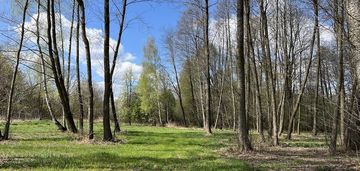 Budowlana z pnb, prąd, wodociąg, rzeczka i las