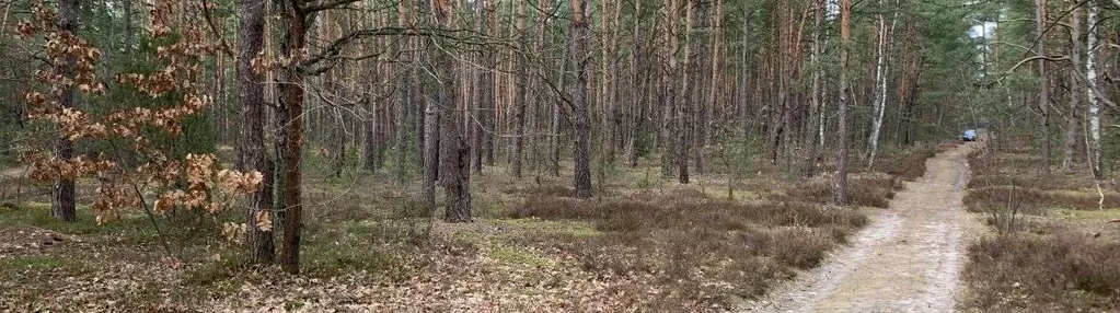 Działka budowlana w parku krajobrazowym