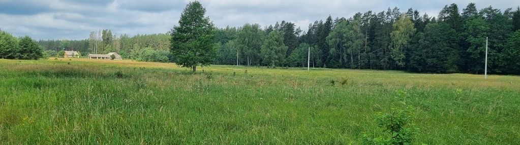 Działka budowlana w gruszkach