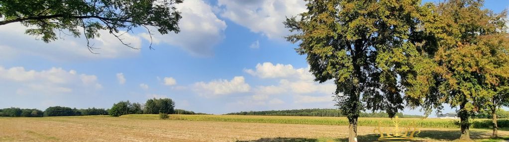 Działka przy drodze wojewódzkiej