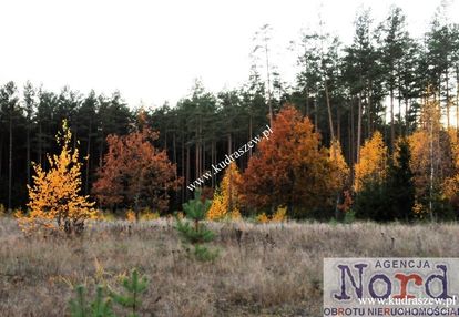 Las, działka budowlana, płaska
