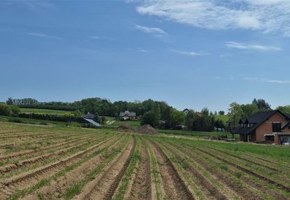 Młodziejowice, atrakcyjna, prawie płaska, 18 ar