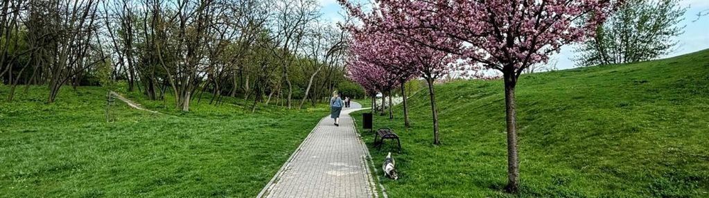 Własny park ! idealne dla każdego ! okazja !