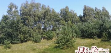 Działka 2692m2 w otoczeniu lasu , blisko jeziora!