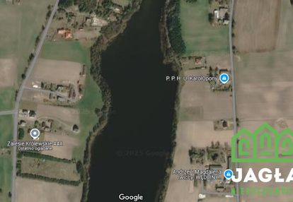 Dziłki w pierwszej lini brzegowej zalesie królews.