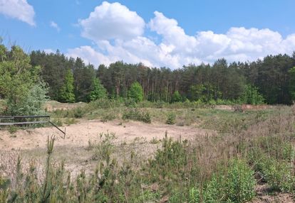 Wyjątkowa nieruchomość z lasem i wodą świętochów