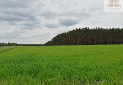 Działka budowlana przy lesie z wygodnym dojazdem.