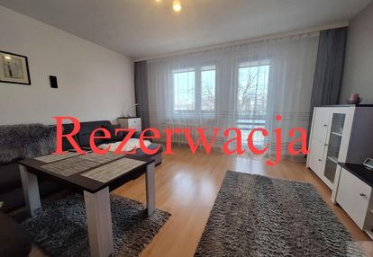 Przestrzenne 3 - pokojowe na parterze/os.rycerskie