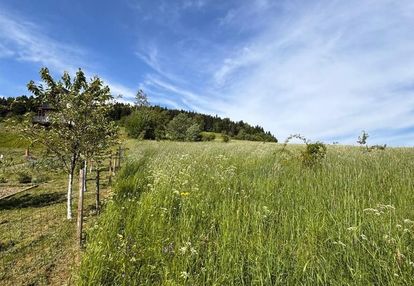 Działka budowlana 15ar *przyszowa beskid wyspowy*