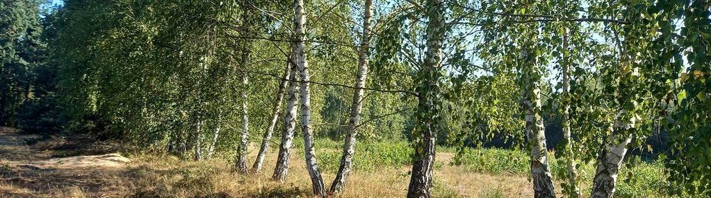 Teren inwestycyjny pod domy jednorodzinne