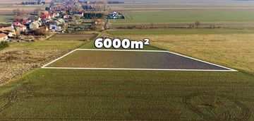 Okazja cenowa! duża działka - chocianowiec