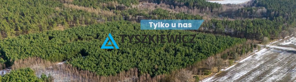 Twój prywatny las w sercu natury – kazimierz,