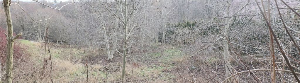 Duża budowlano rolna działka skomunikowana media