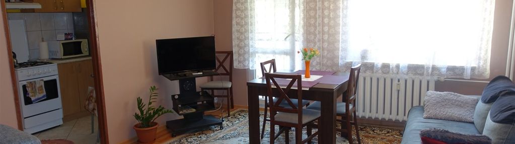 33,10m1, pokój z loggią przy lesie !!