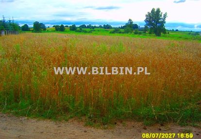 Kup działkę przy lesie !