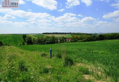 Działka o pow. 15,8 ar - gm. iwanowice, władysław