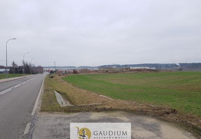 Działka przemysłowa 2,5 ha.