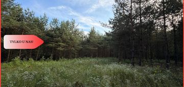 3 ha las, staw | wydane warunki zabudowy