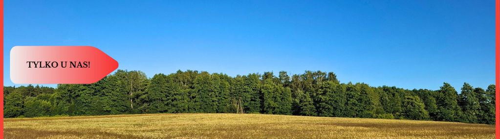 Budowlane 112zł/m2 nekla niedaleko jeziora borówno