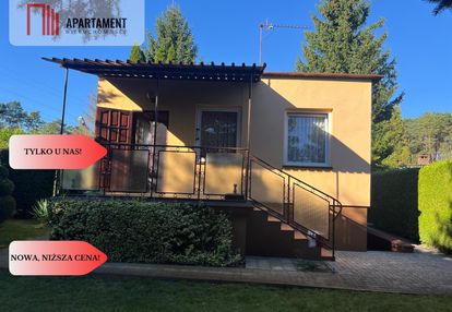 Ładna działka rekreacyjna w drzewcach