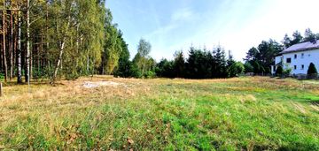 Działka budowlana ze ścianą lasu .