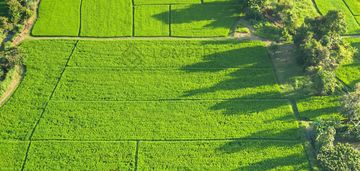 1 ha | las | wz na rezydencję | ursynów