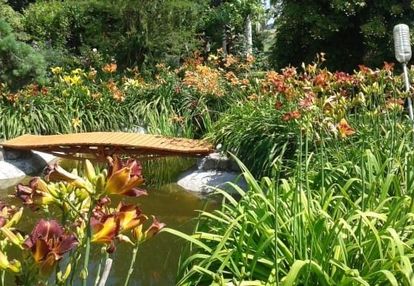 Działka rekreacyjna z kw