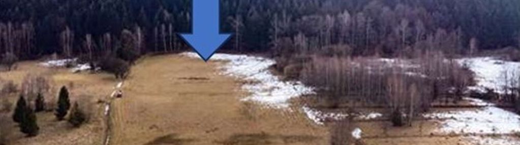 Duża 20 arów z dużym 2 ha prywatnym lasem