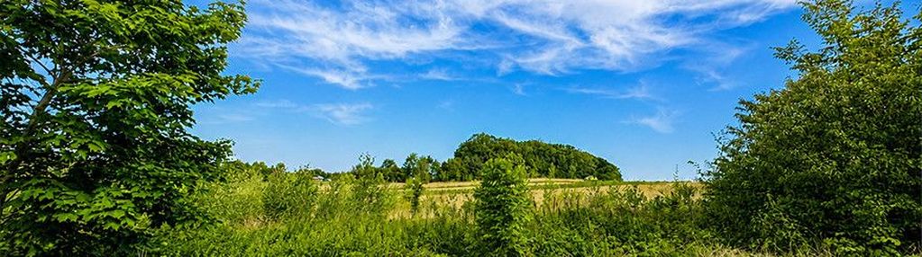 Działka 2464 m² lasocin | wz na 2 domy | łopuszno