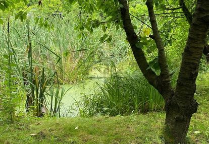 Dom z potencjałem + działka w cenie