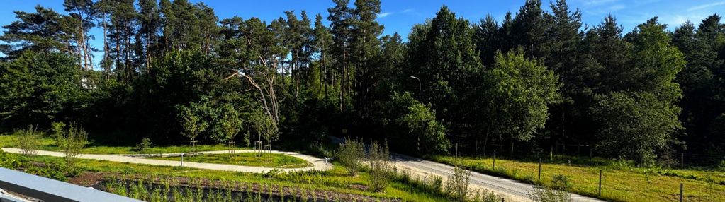 Słońce i las za oknem | południowy zachód | widok!