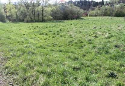 Kompleks działek w miejscowości skomielna biała