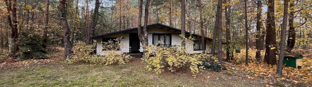 Działka budowlano- leśna władysławów, gm. miedźno