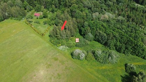 Działka o powierzchni 46a w borownicy, gm.bircza