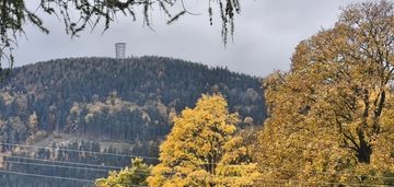 Widokowa działka budowlana z mediami