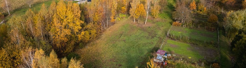 Kameralna okolica | krakowska | wz | zieleń